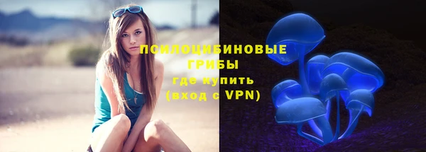 герыч Алексин